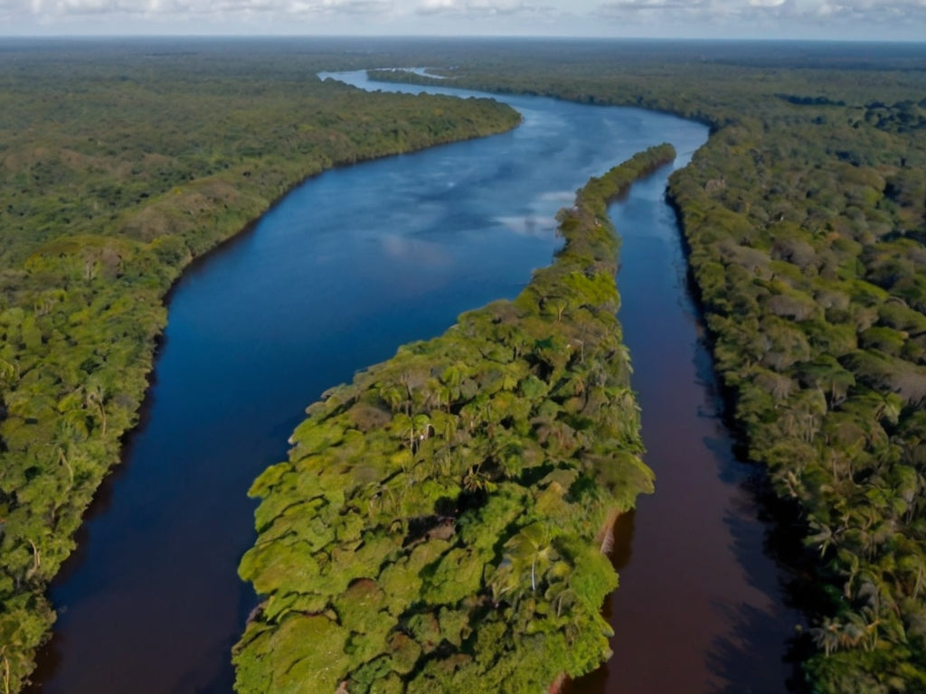 Os rios amazônicos: uma riqueza natural e cultural