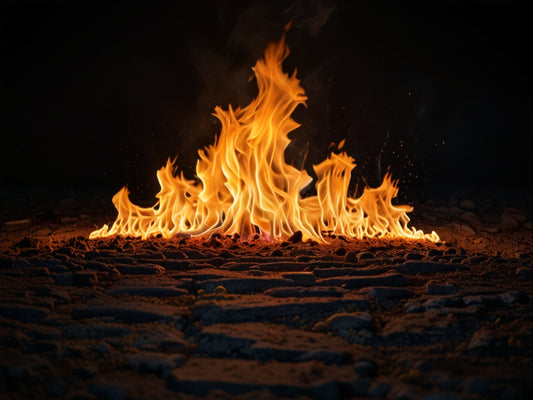 Queimadas na Amazônia em 2024: Uma Crise Ambiental Sem Precedentes