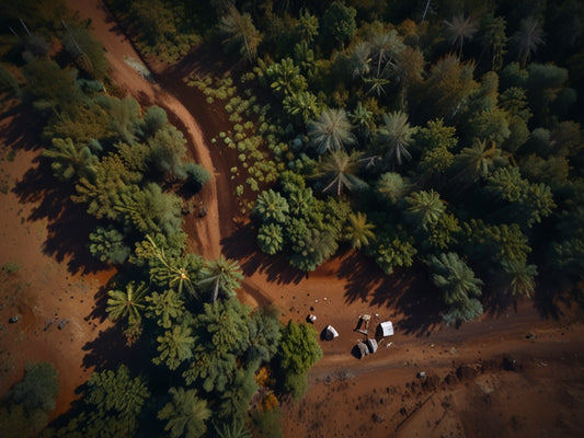 Terras Indígenas do Brasil: Um Patrimônio Natural e Cultural